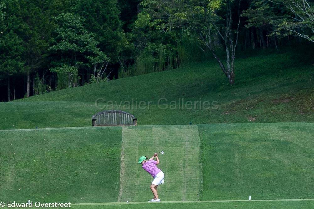 Ladies Golf 101.jpg